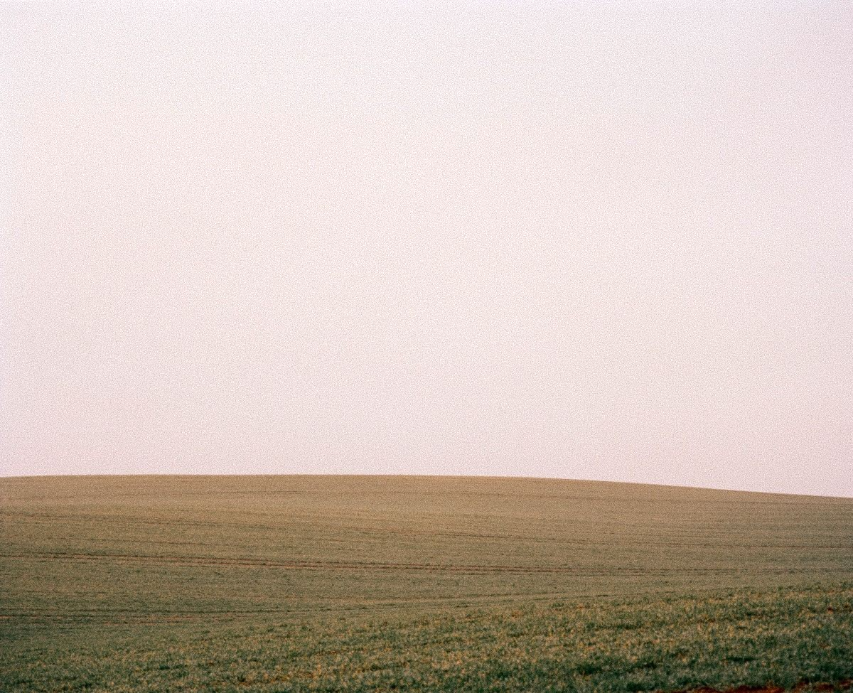 Why Soil Health Determines What Your Body Can Actually Use