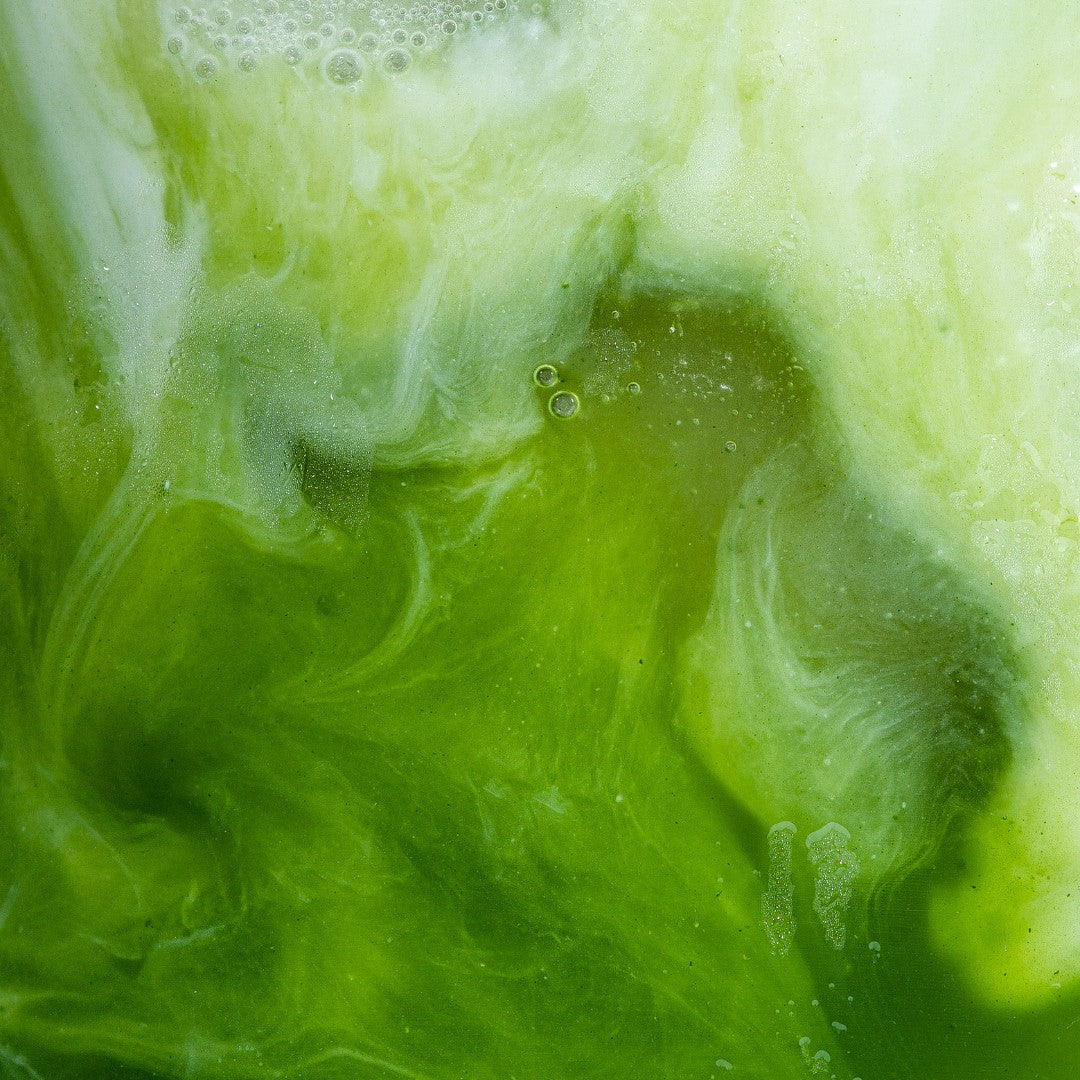 Live Wild Blends - What Are They, and How Are They Different?