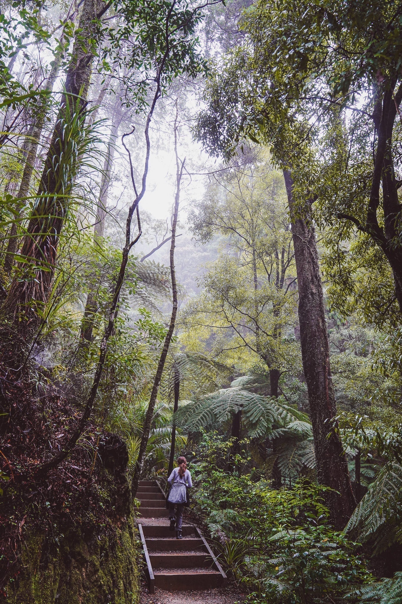 Into The Wild: A Hike Up Parihaka Mountain