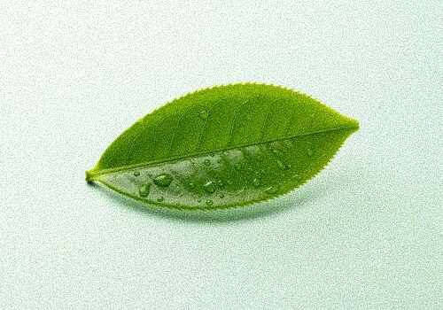 The Case for Ceremonial Matcha